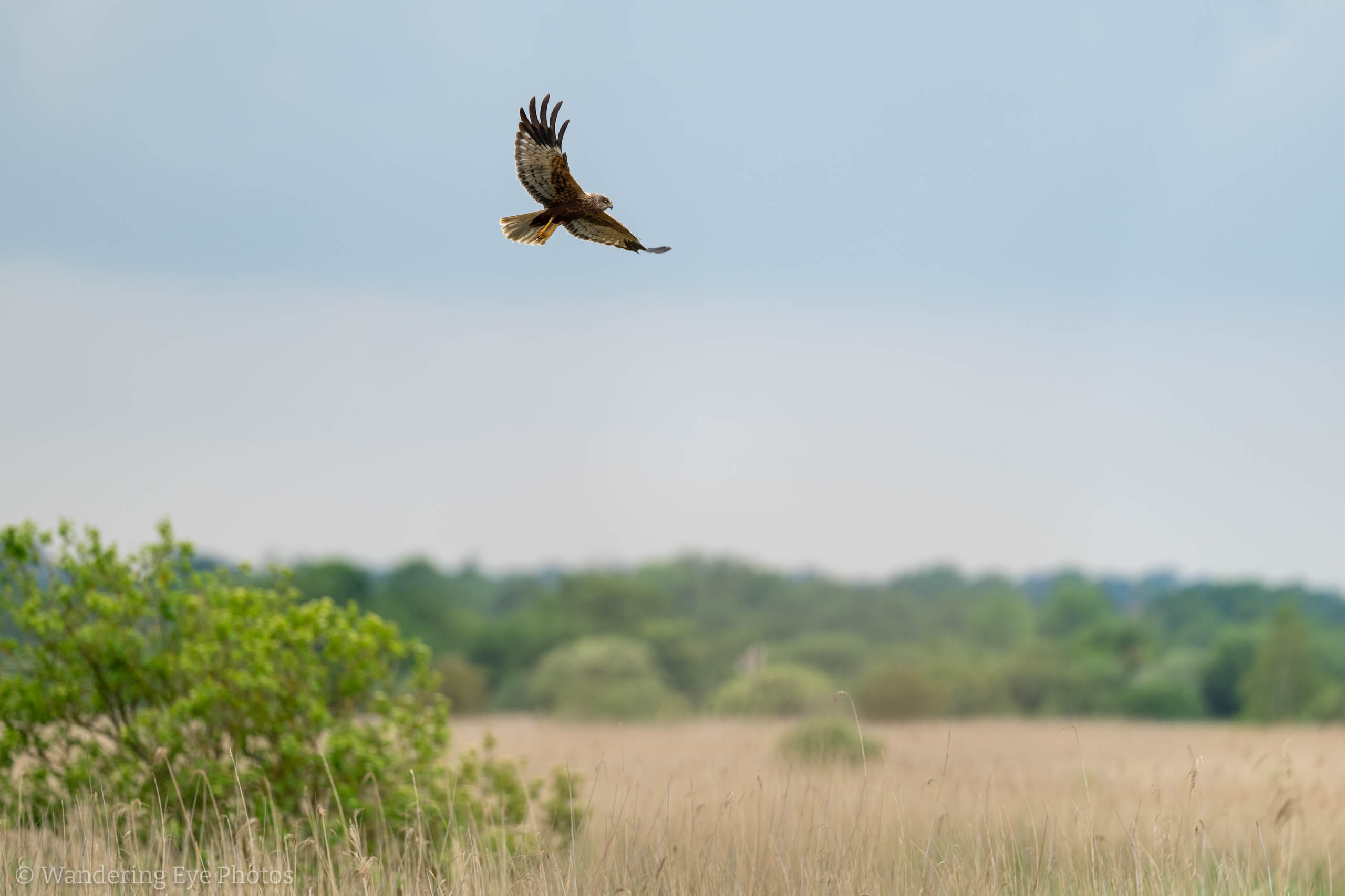 05.17 14.51.39 DSC00628